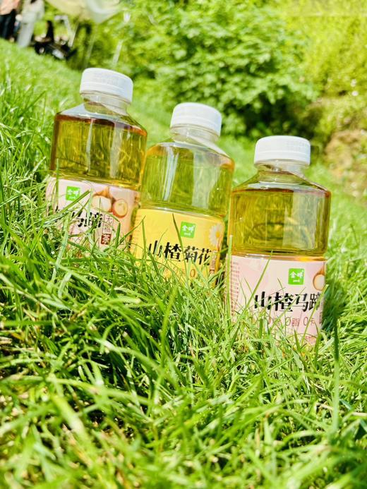 🍃金晔·植物轻饮，自然馈赠的健康美学「0糖0脂0卡，喝出轻盈自在」 健康轻饮，悦享生活——你的春日元气补给站！ 🍃 春日限定美学，治愈系新宠来袭！ 商品图2