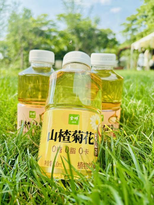 🍃金晔·植物轻饮，自然馈赠的健康美学「0糖0脂0卡，喝出轻盈自在」 健康轻饮，悦享生活——你的春日元气补给站！ 🍃 春日限定美学，治愈系新宠来袭！ 商品图4