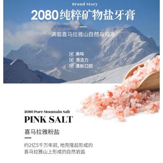 2080 喜马拉雅粉盐牙膏125g 商品图1