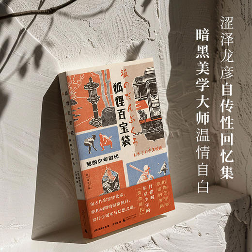 狐狸百宝袋：我的少年时代 涩泽龙彦/著 广西师范大学出版社 商品图2