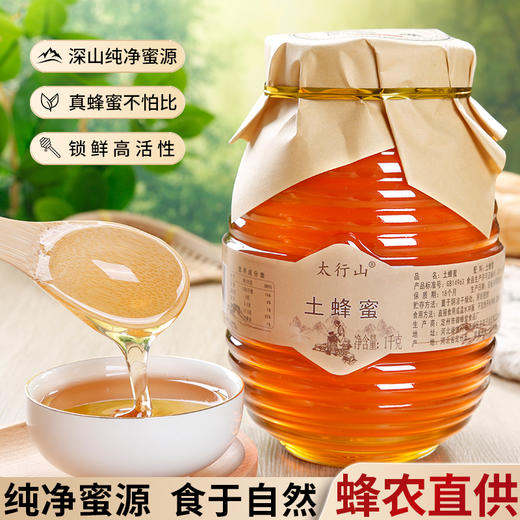 严选 | 太行山土蜂蜜 土蜂蜜1000g+赠500g枣花蜜或500g洋槐花蜜 花香浓郁 甜而不腻 商品图1