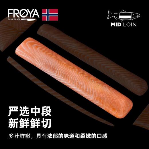 FROYA弗罗亚挪威原装进口空运三文鱼礼盒 商品图10