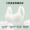 悦动轻舞 少女文胸(VIP)【三阶段初高中生少女文胸】内衣14-18岁无痕防凸点文胸 商品缩略图4