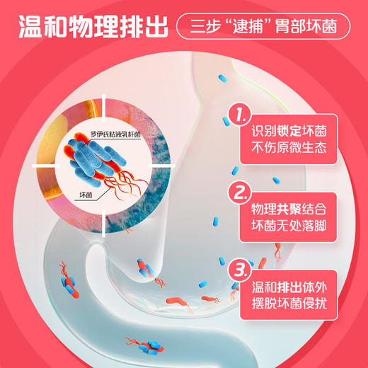 【普通仓发货】普葆 Pylopass™罗伊氏粘液乳杆菌固体饮料 商品图2