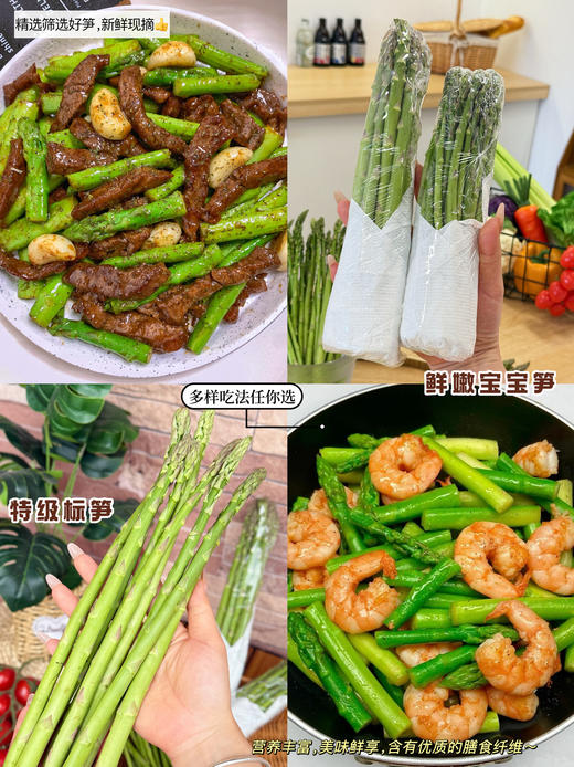 特级生态芦笋(2斤）有机标准（转换期） 商品图0