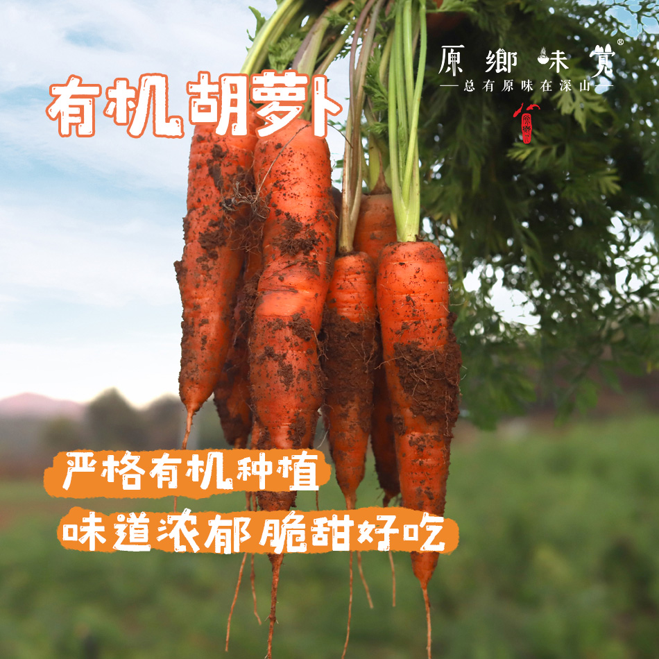 有机胡萝卜（基地直发-顺丰包邮） | 3斤，5斤，来自云南昆明，生产者：王建钧【合作生产，公平贸易