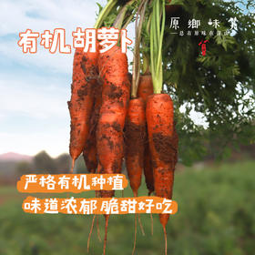 有机胡萝卜（基地直发-顺丰包邮） | 3斤，5斤，来自云南昆明，生产者：王建钧【合作生产，公平贸易