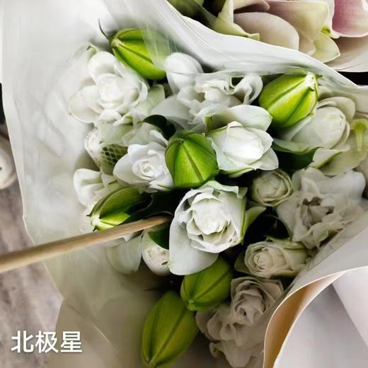 精品百合北极星百合5支 商品图5