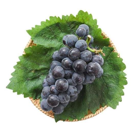 峰后葡萄/份 商品图1