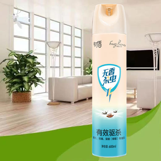 初盾无香杀虫气雾剂600ml-0036 商品图0
