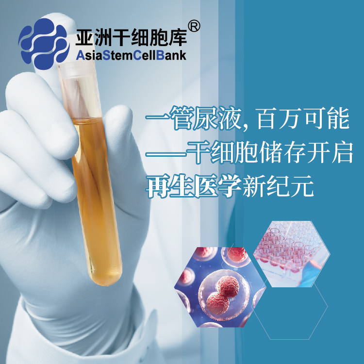 肾源干细胞存储