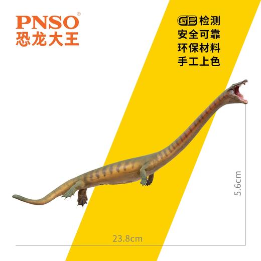 PNSO恐头龙小冲恐龙大王成长陪伴模型91 商品图2