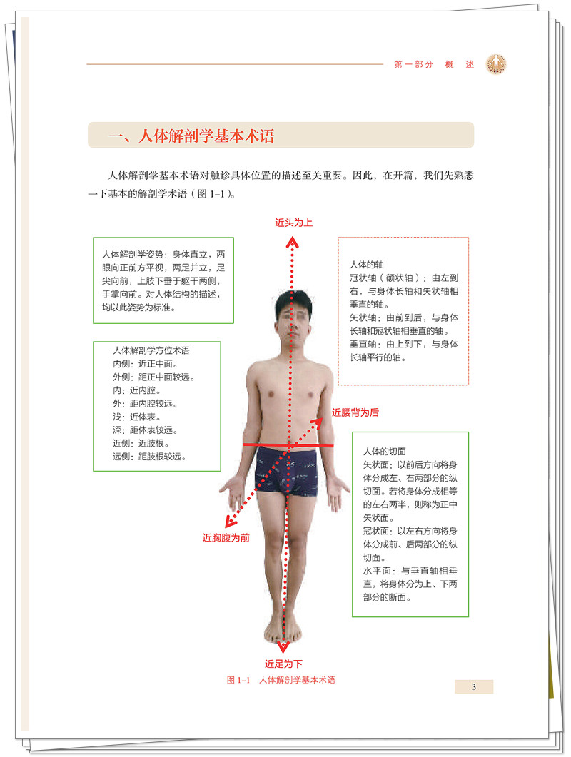 5132-9481-2针灸推拿及解剖触诊技术 20250620CTP_13_副本.jpg