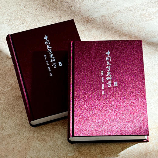 中国文学史料学 上下卷 潘树广 通论性文学史料学著作 商品图5