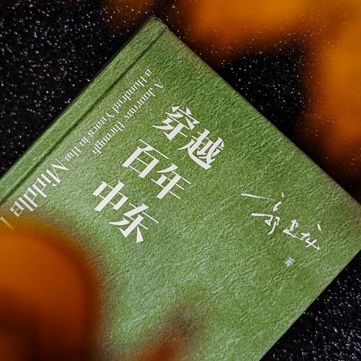 穿越百年中东 野火系列 郭建龙 著 火与风 俞敏洪、罗振宇等推荐 现代中东 百年乱局 战争 和平 历史游记 上海译文出版社 正版 商品图7