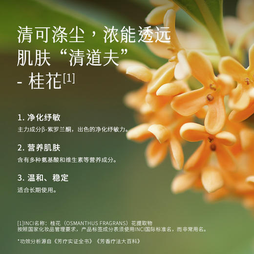 枕草子 | 四季香露之“秋”——盛宴时光桂影花露，金秋桂菊 “纾敏”纯露 商品图2