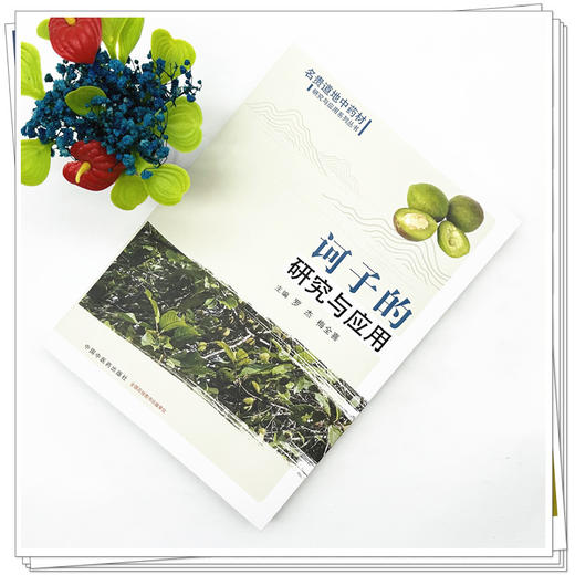 诃子的研究与应用 罗杰 梅全喜 主编 名贵道地中药材研究与应用系列丛书 中国中医药出版社 商品图1