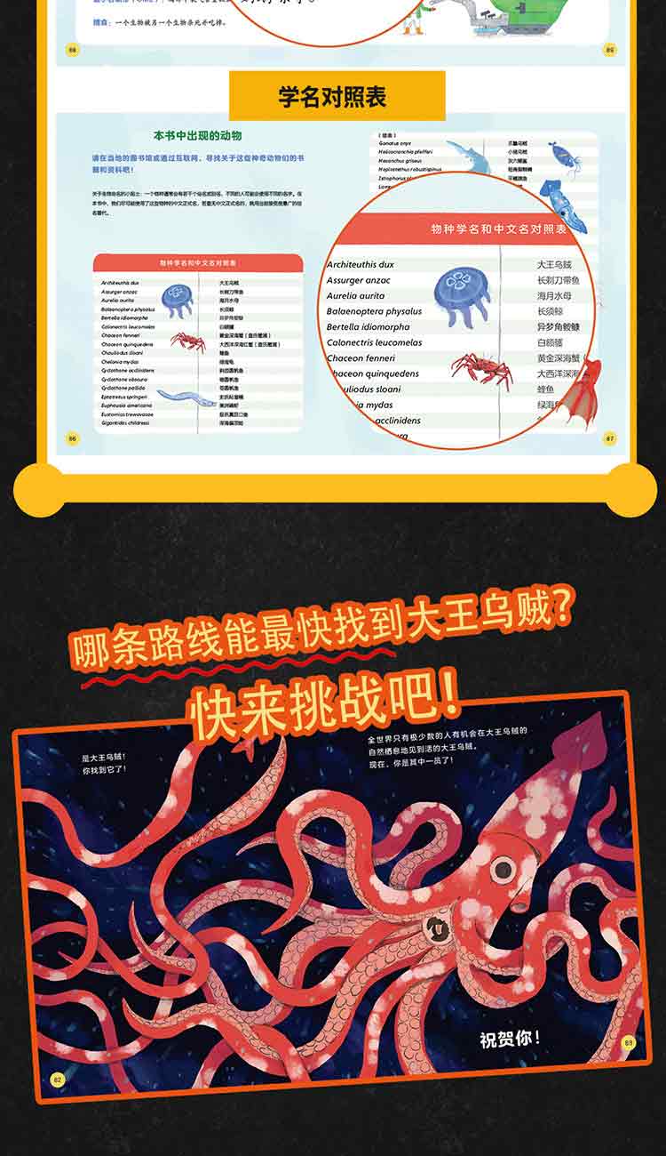 寻找大王乌贼-详情页750_08.jpg