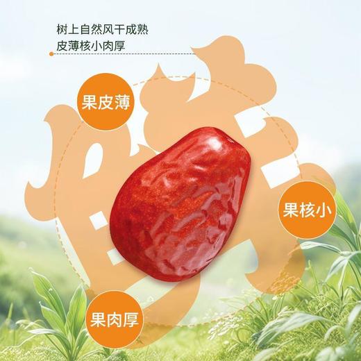 齐力有机免洗特级骏枣 500g/袋 商品图1