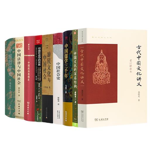 解剖中国社会九书 商品图0