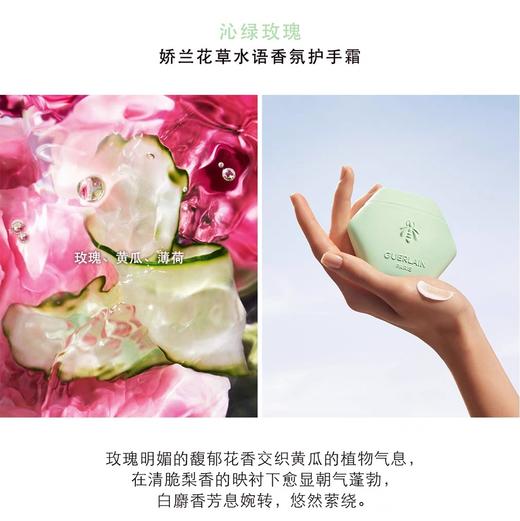 娇兰 花草水语香氛护手霜（沁绿玫瑰香型） 50ml  G014867-F 商品图0