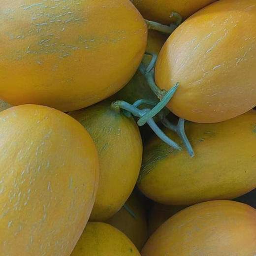 【聚划算】11.9元3斤  华莱士蜜瓜 商品图0