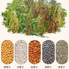 茨格曼鹦鹉饲料1200ml混合鸟粮 五色黍子牡丹虎皮玄凤八哥画芦丁鸡饲料 商品缩略图7
