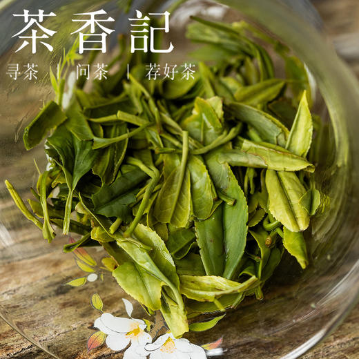 茶香记恩施玉露2503明前绿茶富硒茶蒸青工艺针形茶甜醇鲜爽罐装 商品图4