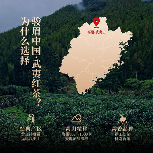 正山堂 武夷红茶 骏眉中国产区茶桃荔香正宗武夷山小种红茶冷泡茶 商品图2