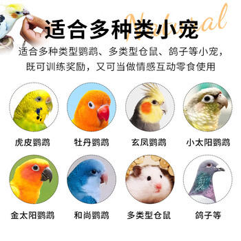 开元小油葵瓜子鹦鹉零食磨牙粮食金丝熊饲料鸟食黑珍珠瓜籽虎皮玄凤 商品图2