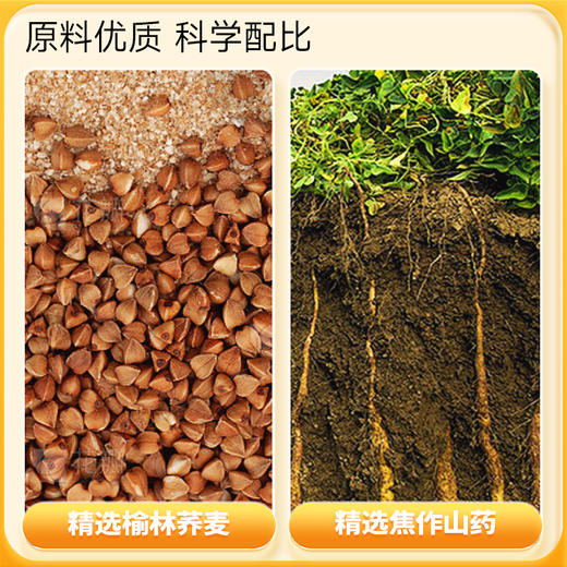 山药荞麦方便面600g（60g*10） 商品图2