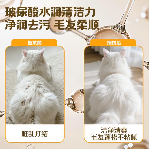 【GX】德佑宠物湿巾猫咪狗狗专用湿纸巾免洗擦脸擦脚去泪痕80片*5包 商品图2