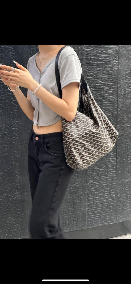 戈雅 hobo 黑色 老花 单肩包 商品图3