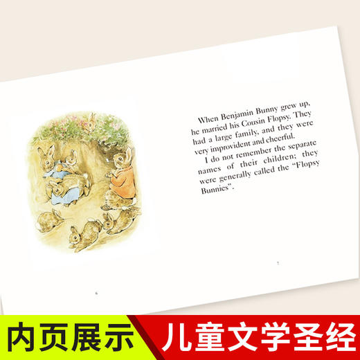 彼得兔经典故事全集中英文礼盒装（全11册） 商品图3
