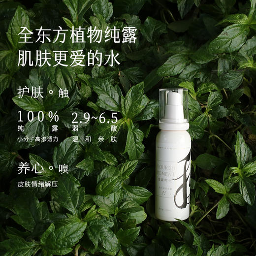 枕草子 | 四季香露之“秋”——盛宴时光桂影花露，金秋桂菊 “纾敏”纯露 商品图1