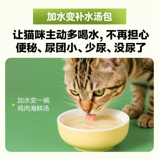 活力泰宠物营养补剂排毛功能包（猫用） 商品图5