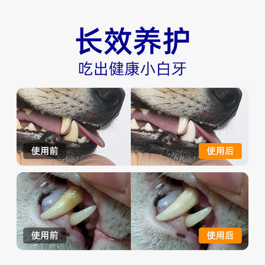 小白牙洁齿粉 犬猫通用口腔护理20g/瓶，去牙垢 商品图2