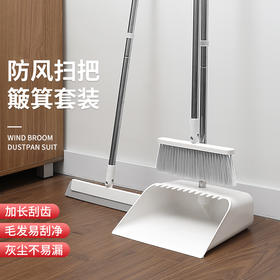 好媳妇扫把簸箕套装组合家用魔术扫帚地刮水器扫地笤帚扫头发神器