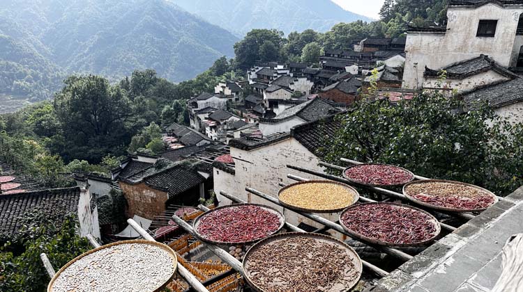 婺源2日游 （环线玩法）