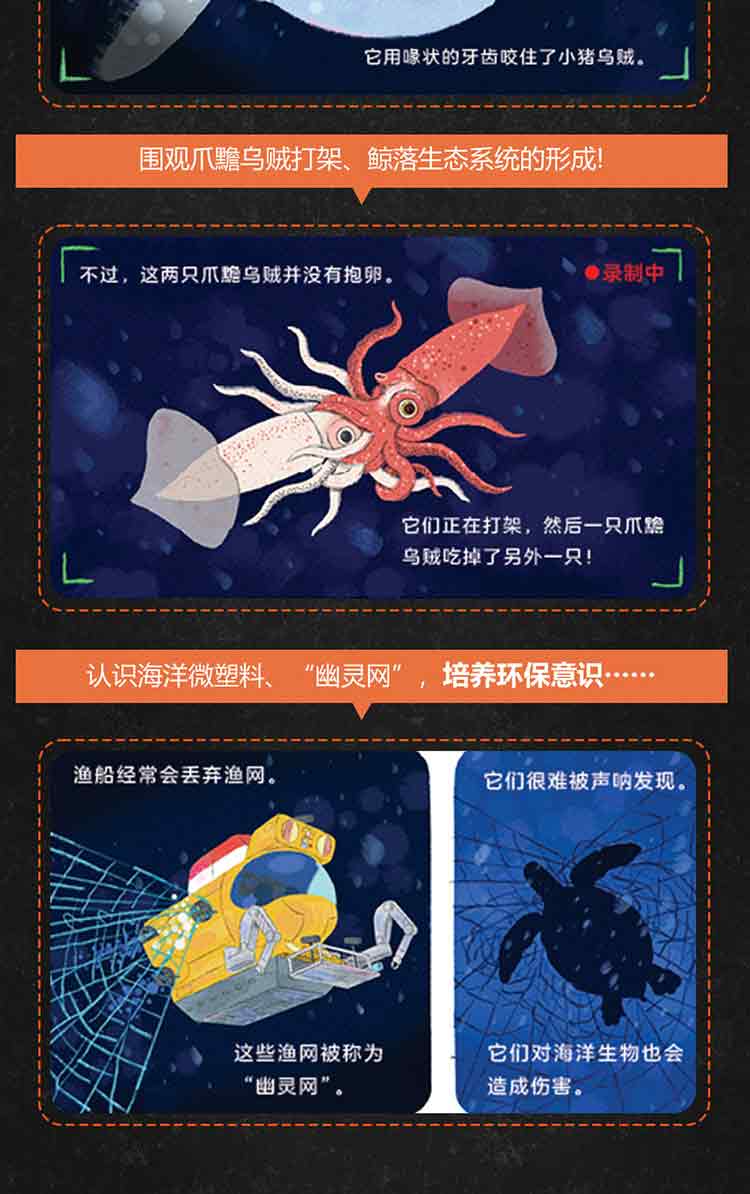 寻找大王乌贼-详情页750_06.jpg
