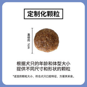 伯纳天纯狗粮经典 泰迪贵宾成犬幼犬通用犬粮1.5kg/3斤