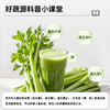 【口感顺滑更轻盈】好蔬源 冻干西芹特膳粉 10g*15条/盒 每日一杯鲜蔬营养随身带 商品缩略图2