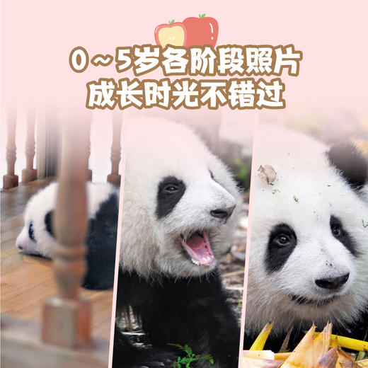 花花世界（赠答谢卡）四川文艺出版 商品图2