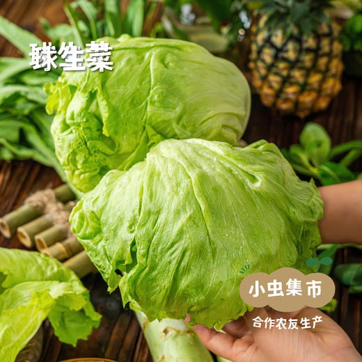 野菜夫人蔬菜套餐（圆白菜（包菜）/娃娃菜/土豆/洋葱/胡萝卜/花菜/紫甘蓝）5斤 | 合作农友生产，来自河北张家口，生产者：李鹏飞 *【公平贸易农人定价】 商品图1