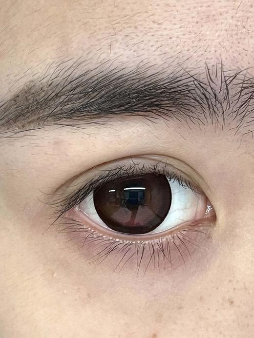 piggyoo 半年抛 血红光环 直径14.5mm着色14.2mm 商品图4