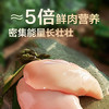 京东京造冻干鸡胸肉粒500g猫零食纯鸡肉冻干猫咪宠物零食猫咪狗通用 商品缩略图1