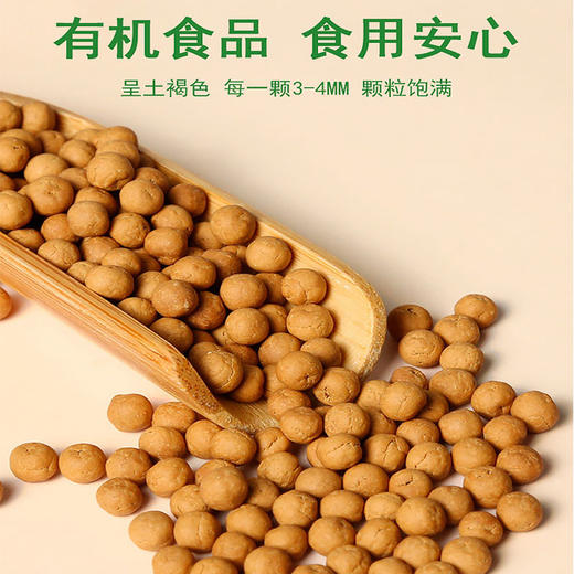 姜来无忧有机小黄干姜片/黄姜粉黄姜丸 商品图8