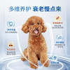 伯纳天纯老年犬狗粮贵宾8岁以上专用骨骼坚固宠物成犬粮2kg/4斤 商品缩略图1
