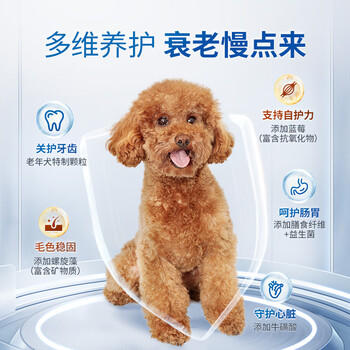 伯纳天纯老年犬狗粮贵宾8岁以上专用骨骼坚固宠物成犬粮2kg/4斤 商品图1