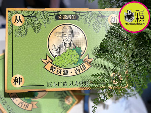 【一级家庭装】云南阳光玫瑰香印青提（2-3串装）2kg 商品图2